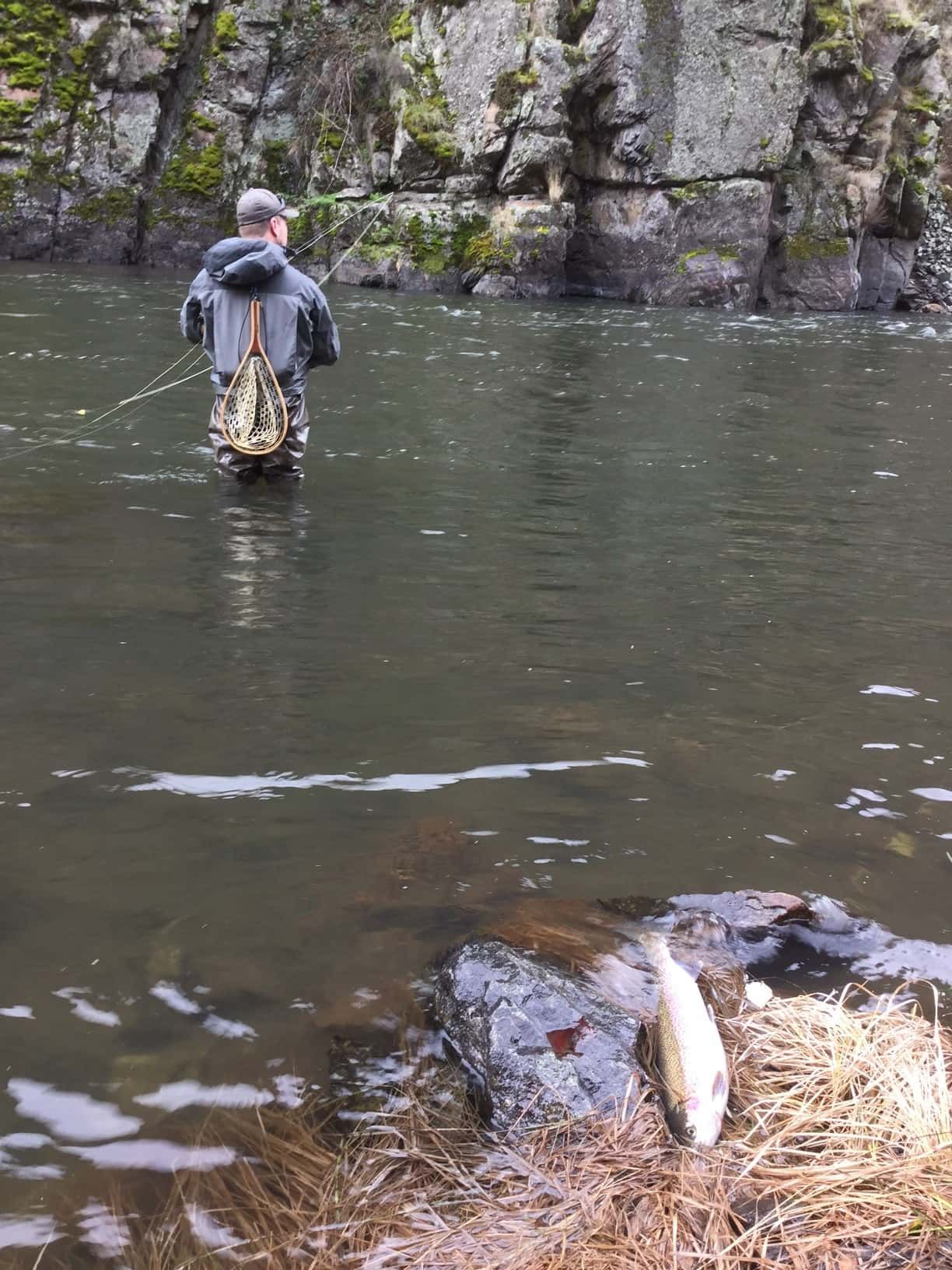 A man is fishing in a river with a fishing rod
