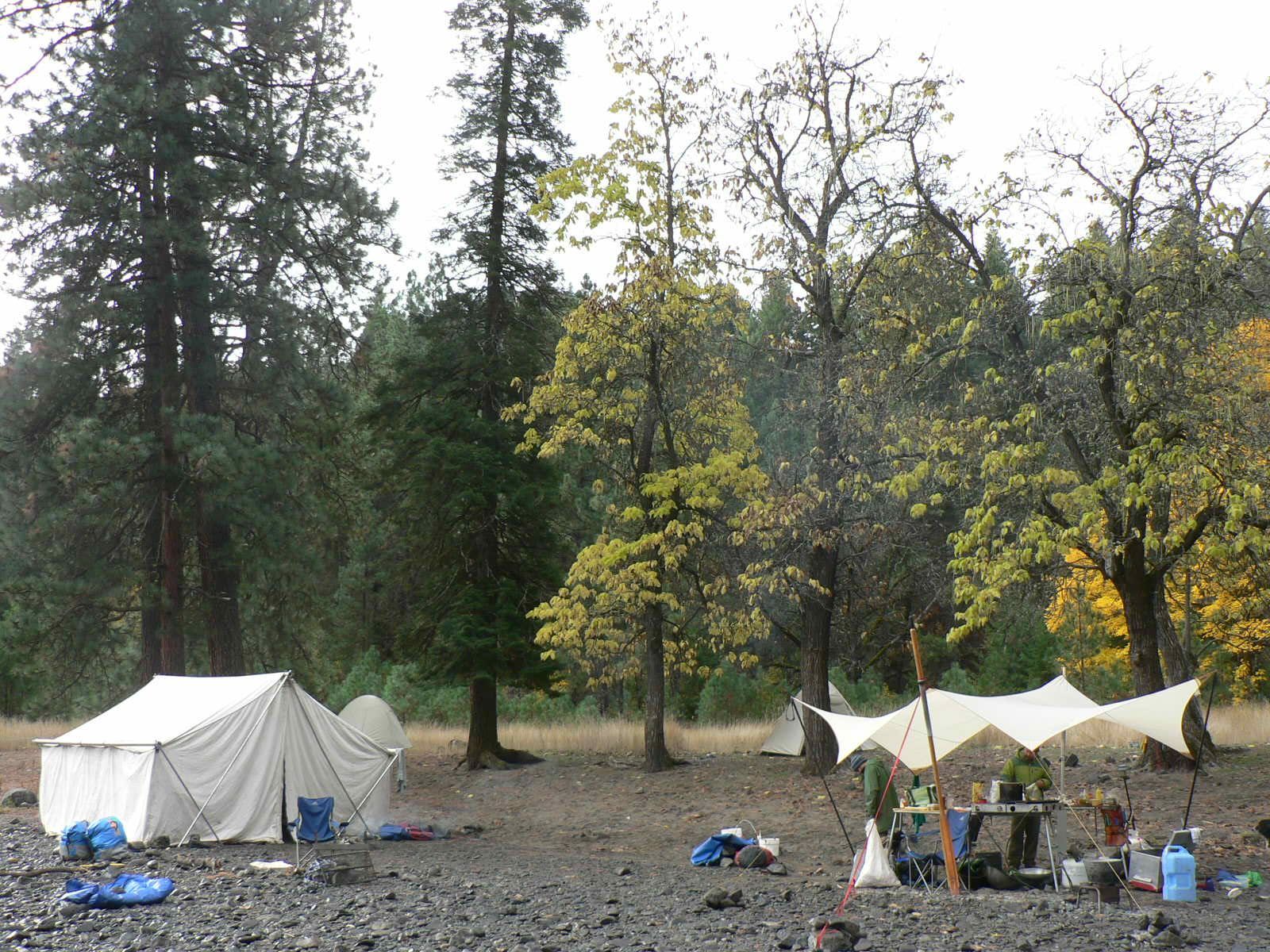A group of tents are set up in the middle of a forest