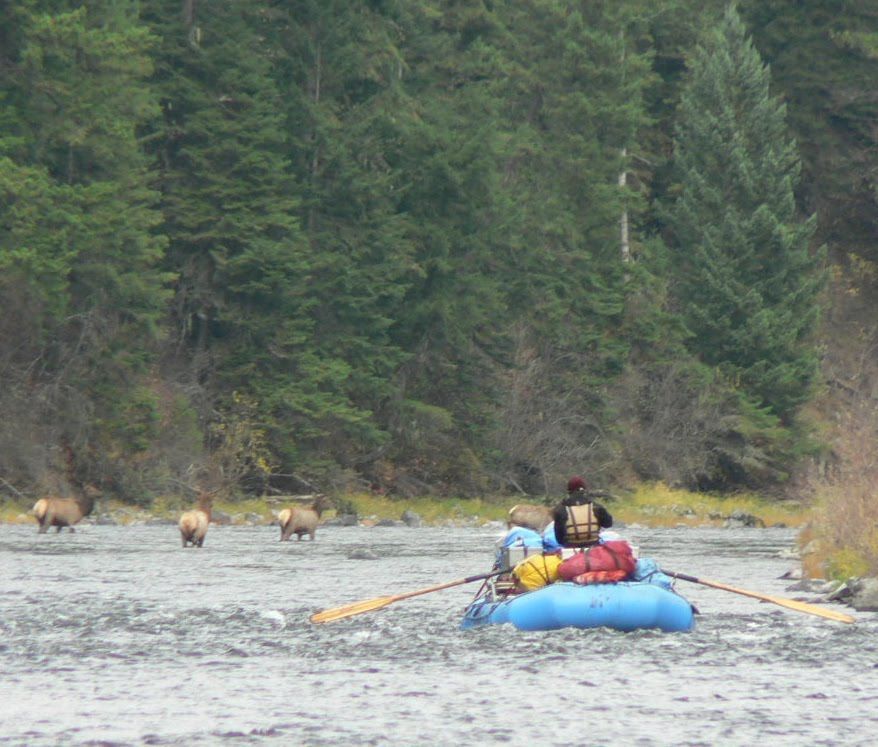 A group of people are rowing a raft down a river.