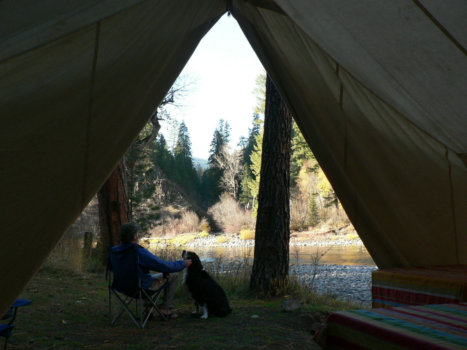 A person sitting in a chair with a dog looking out of a tent