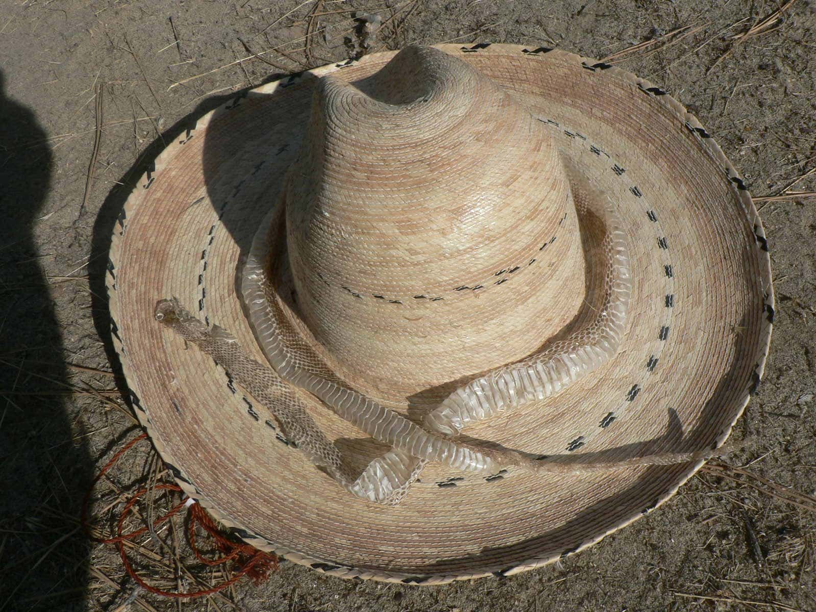 A sombrero is laying on the ground with a snake in it