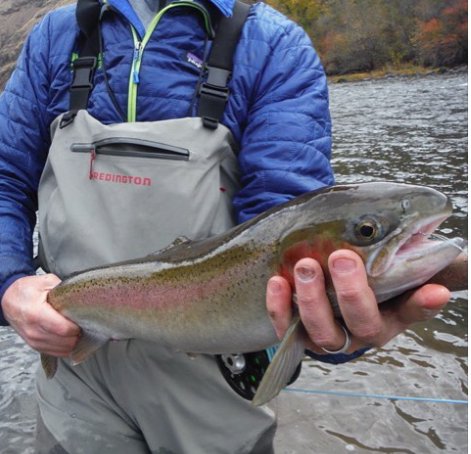 A man in a blue jacket holds a fish in his hands
