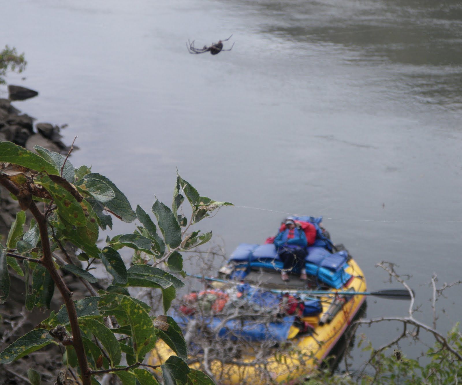 A boat with a person in it is in the water
