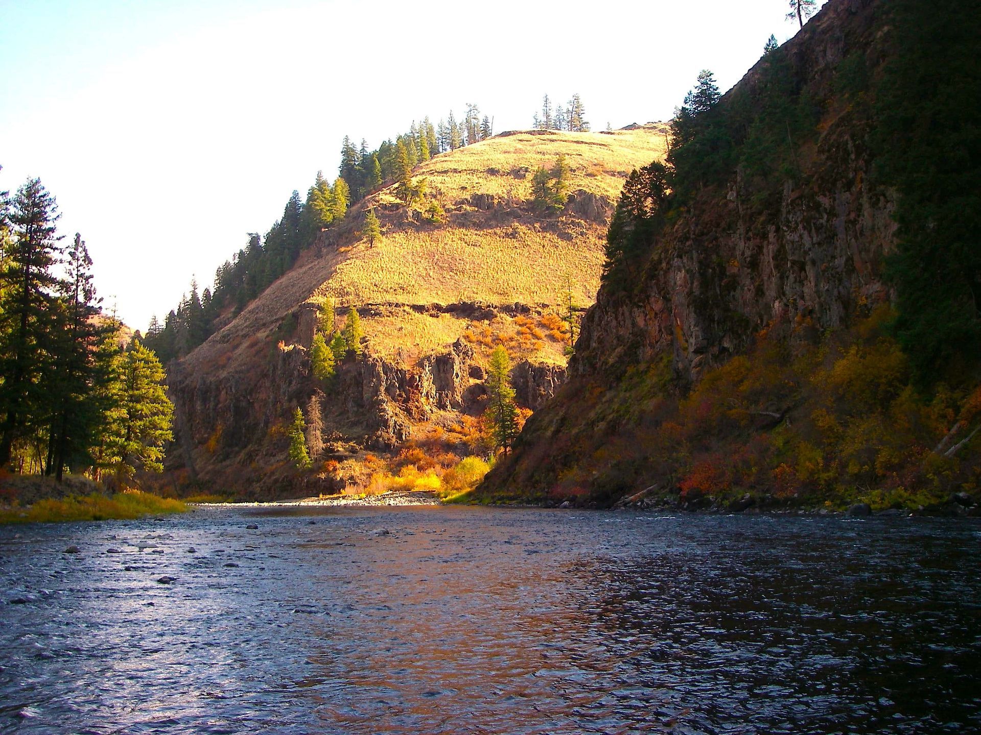 River with A Mountain in The Background and Trees on The Shore