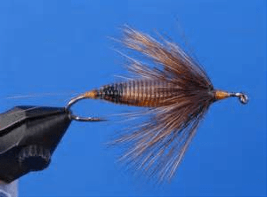 Close up Of a Fly on A Hook on A Blue Background