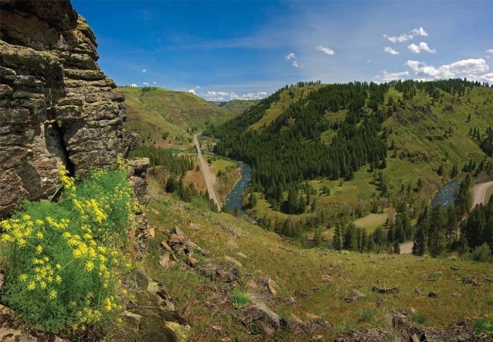 River runs through a valley surrounded by mountains and trees