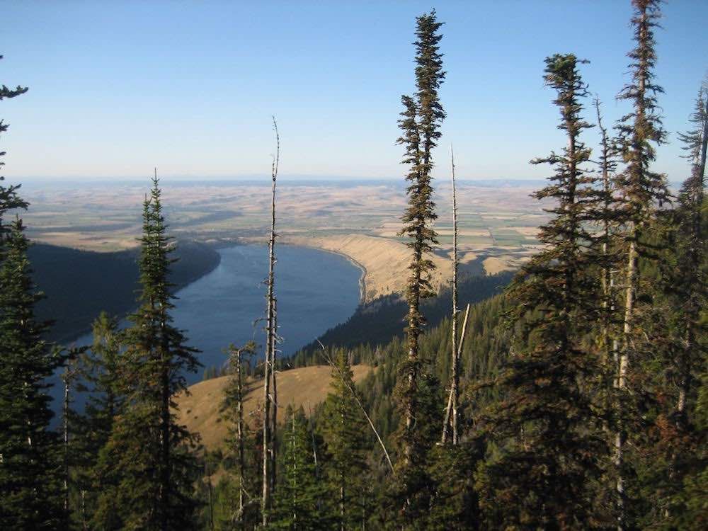 River Runs Through a Valley Surrounded by Trees