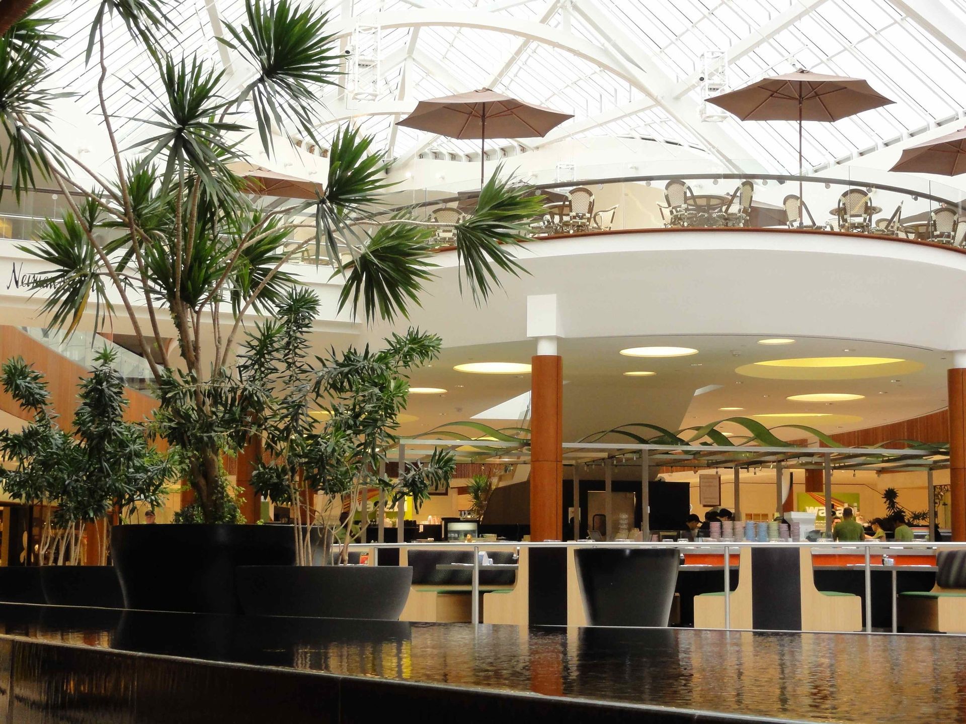 Indoor mall atrium with tall potted trees, upper-level railing, and seating area under a curved skylit ceiling