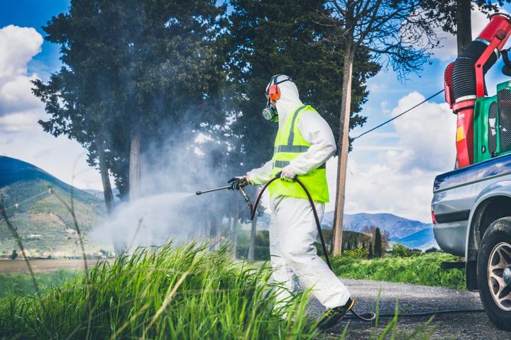 disinfestazione esterna