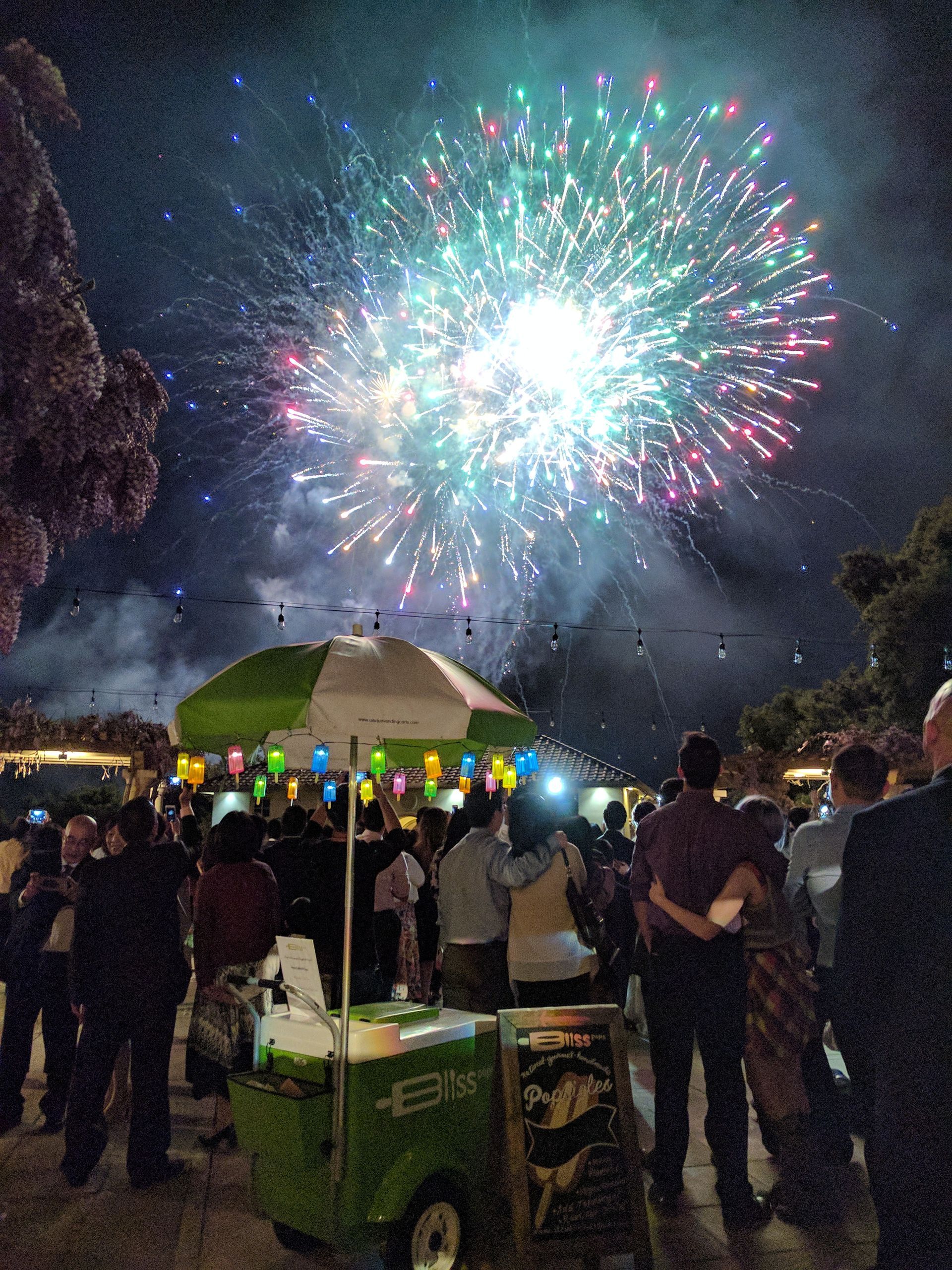 A group of people are watching fireworks in the night sky