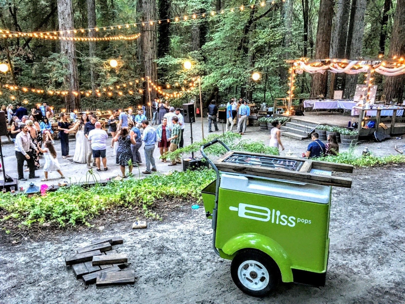 A green trailer is parked in the middle of a forest.