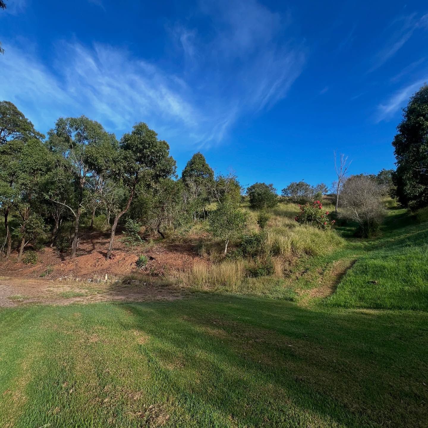 Green Grassy Area Leads to a Small Hill With Trees, Against a Bright Blue Sky — Dudgeon’s Earthworks in Murgon, QLD