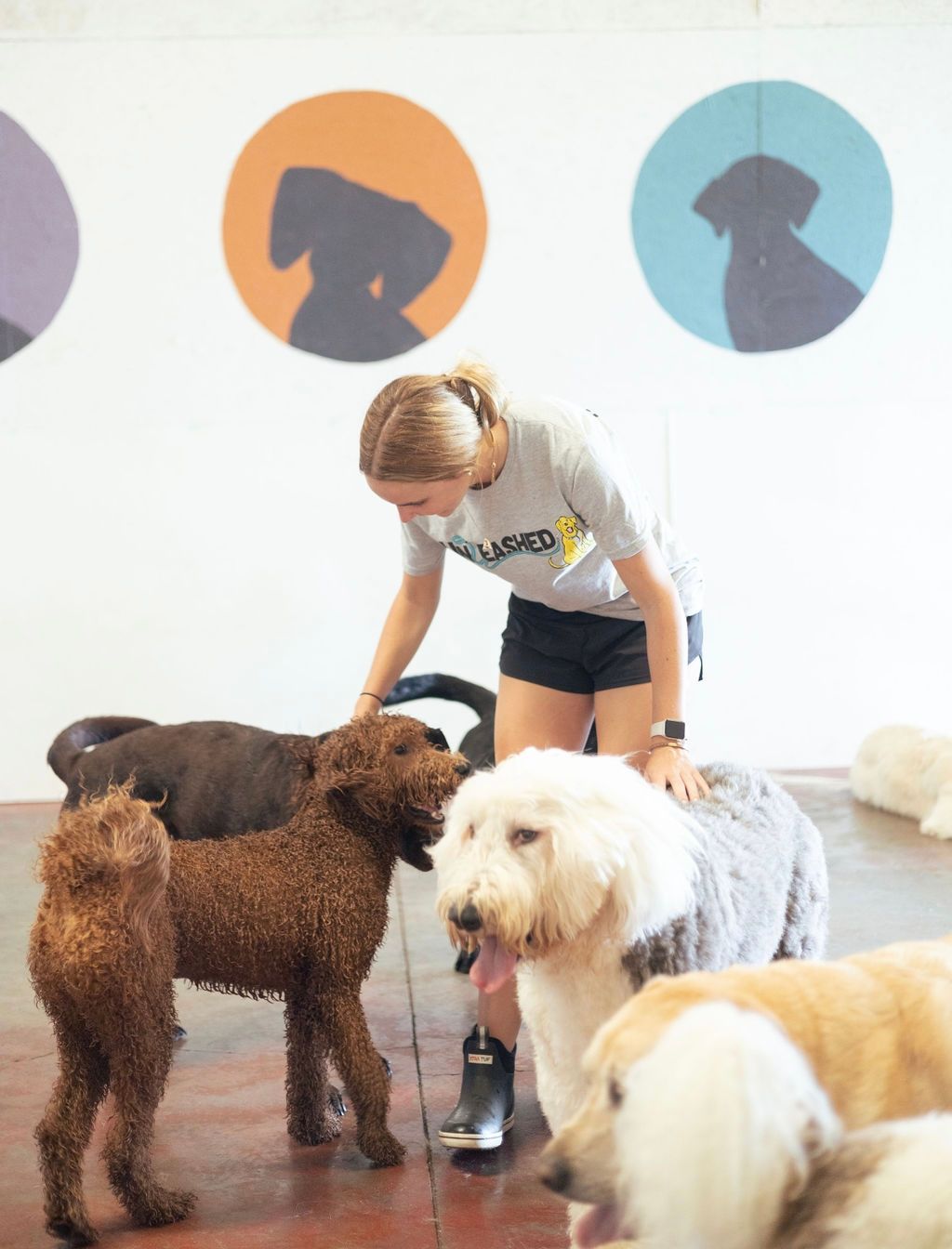 Woman pets dogs in a room with silhouette art.