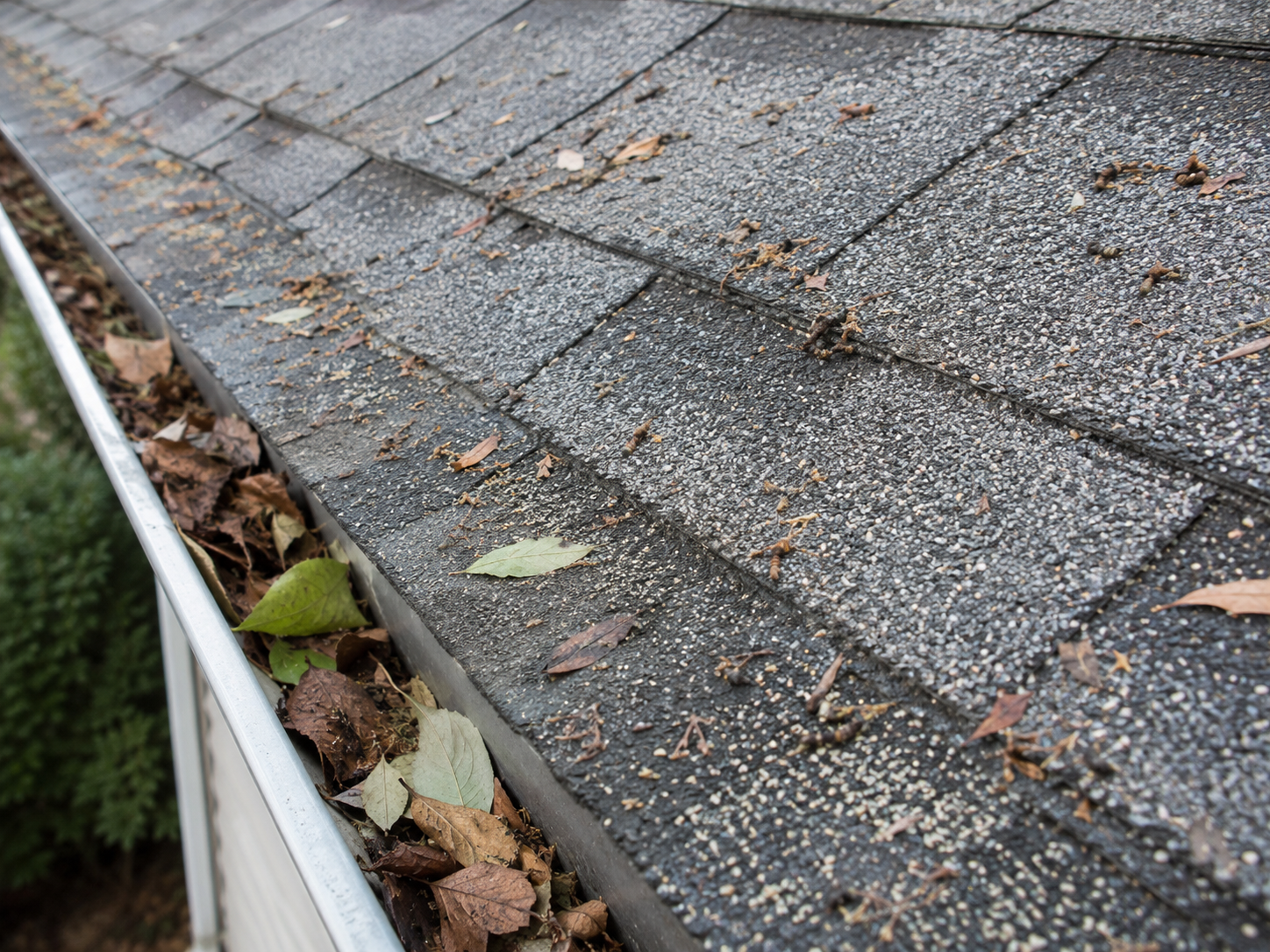 storm damage roof repair for shingle roofing