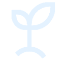 Graphic of a small leaf plant
