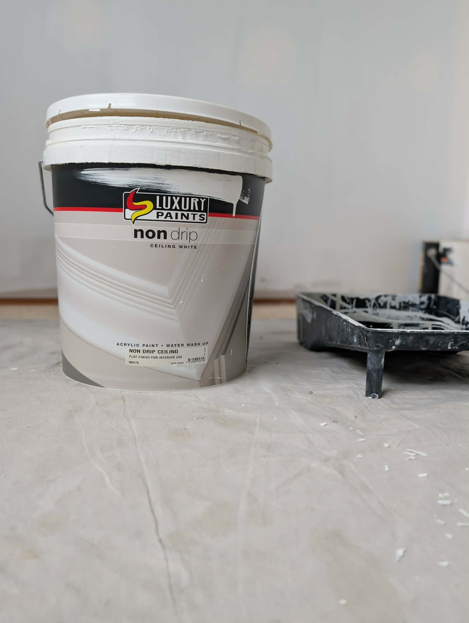 Paint supplies on a drop cloth in an empty room with white walls and a large window.