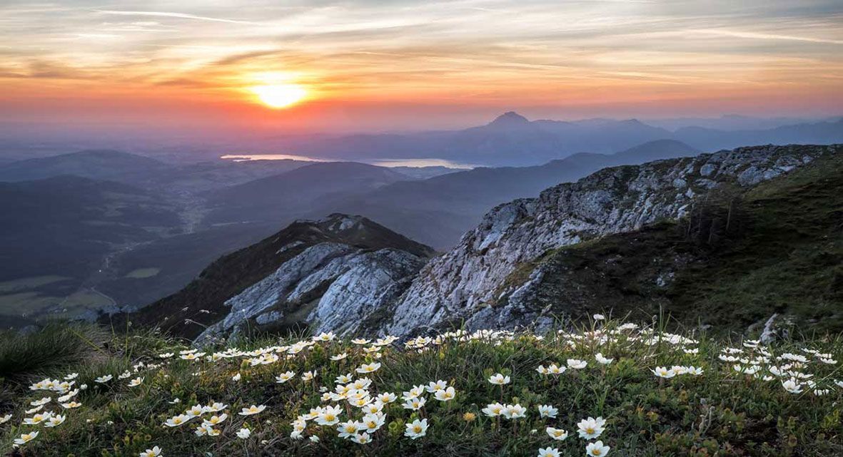 Sunset over mountain range, wildflowers in foreground. Orange and pink sky, rocky peaks, and distant lake.
