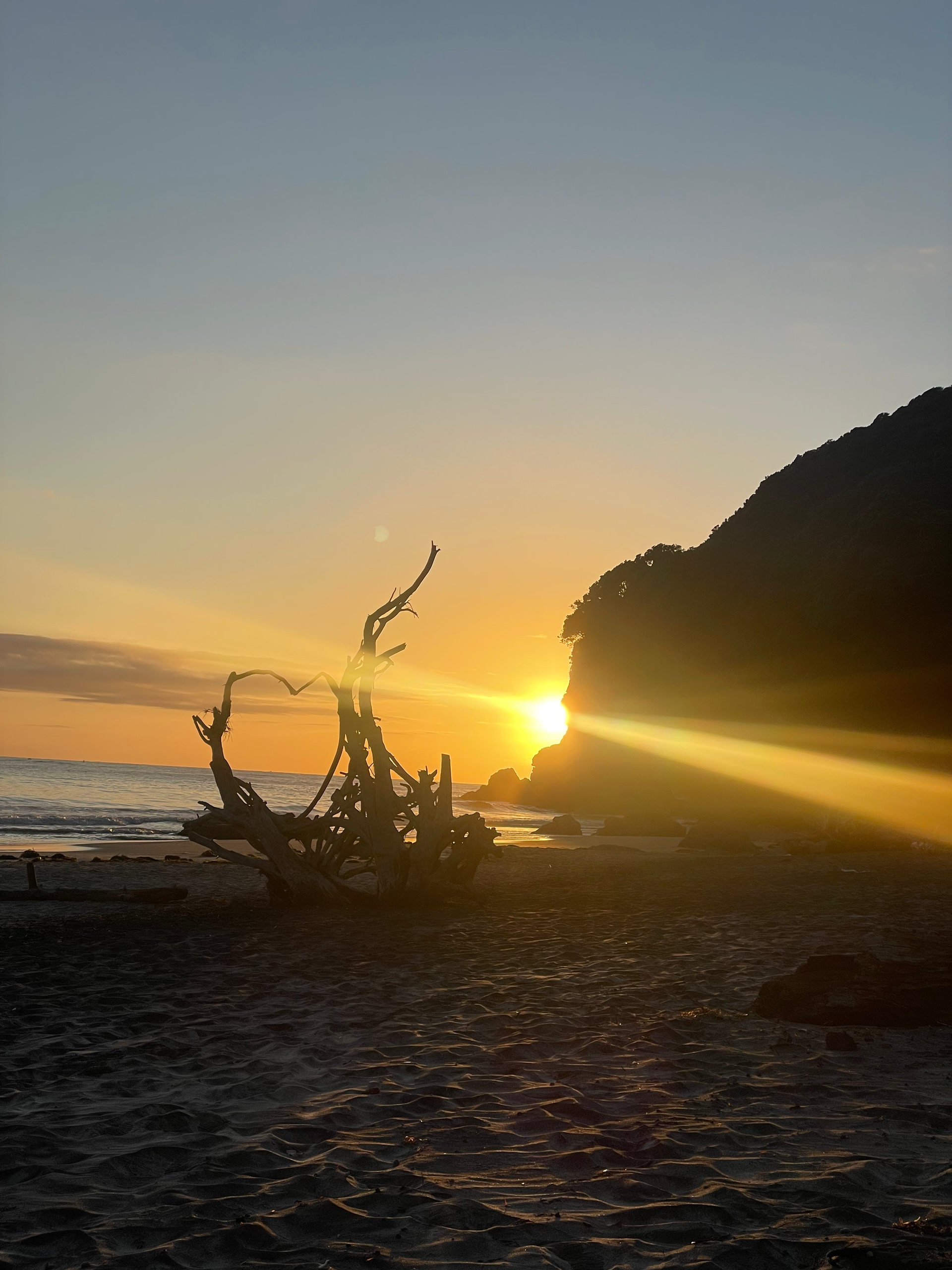 Tracy Manu Blog - A sunset on a beach, with golden light rays hitting a piece of driftwood.