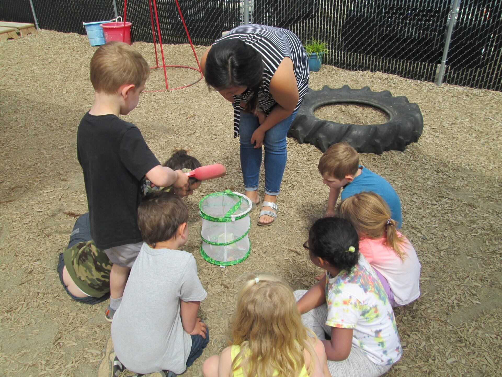 Releasing butterflies
