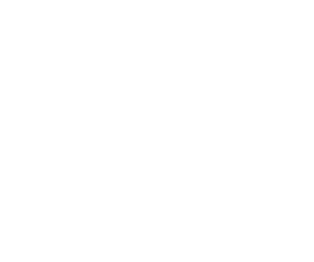 The Aesthetic Collective