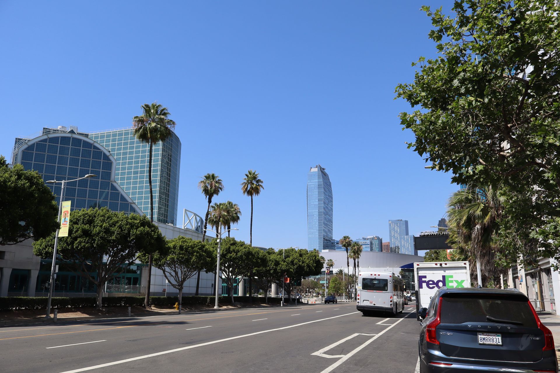 Wide city street with buses, cars, palm trees, and modern glass buildings under a clear blue sky