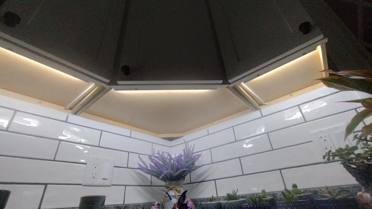 Modern indoor courtyard with white walls, warm ceiling lights, and a potted purple tree centerpiece