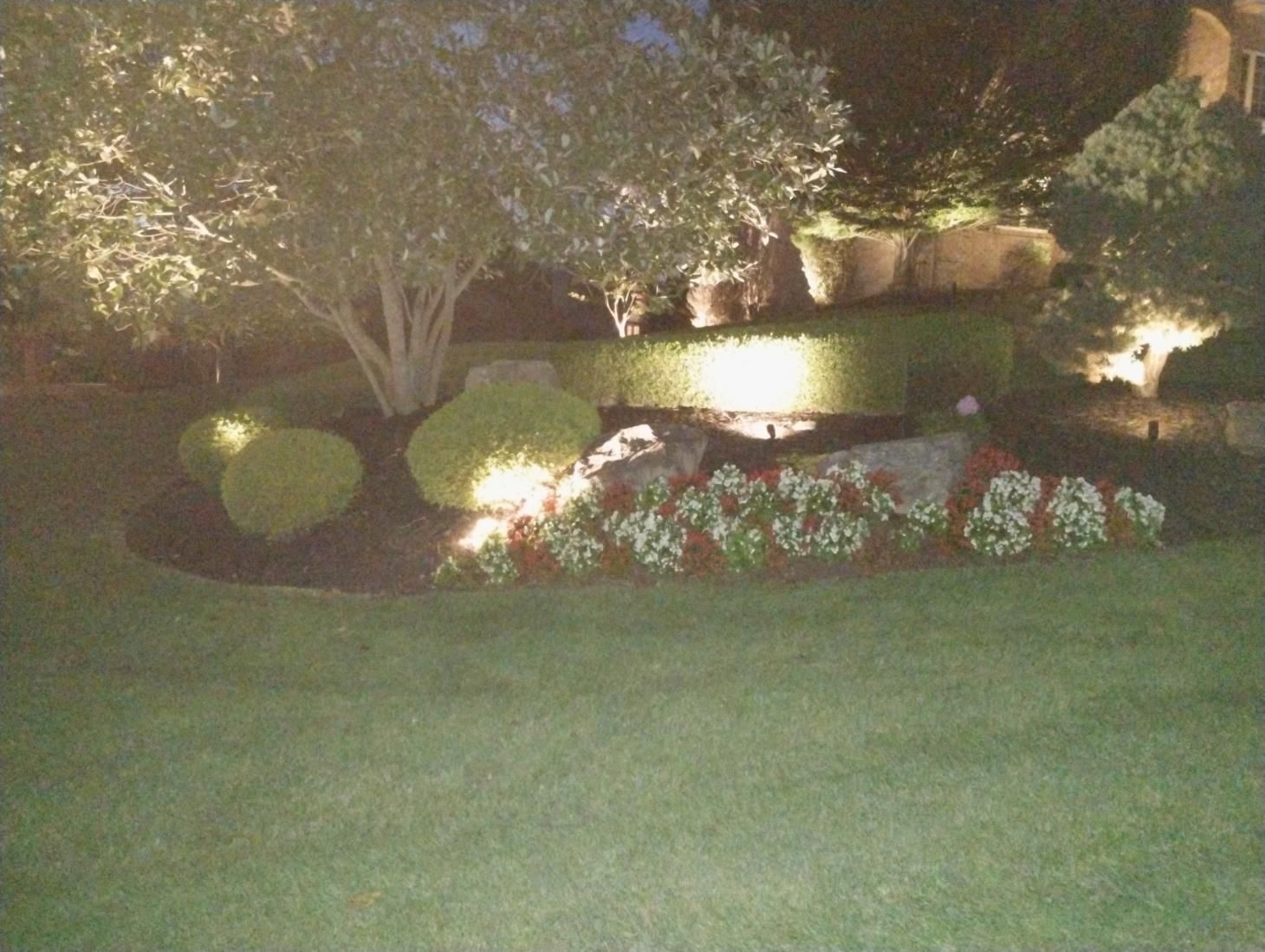 Nighttime garden with trimmed shrubs, flower bed, and lit trees beside a green lawn