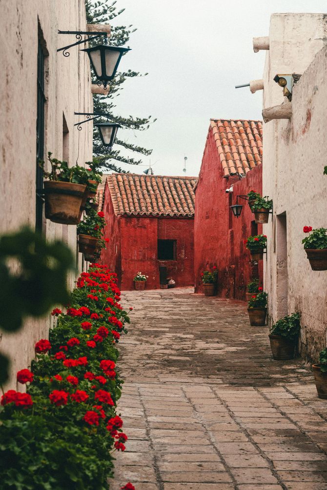 Narrow cobblestone street lined with red geraniums and buildings in Arequipa, Peru.