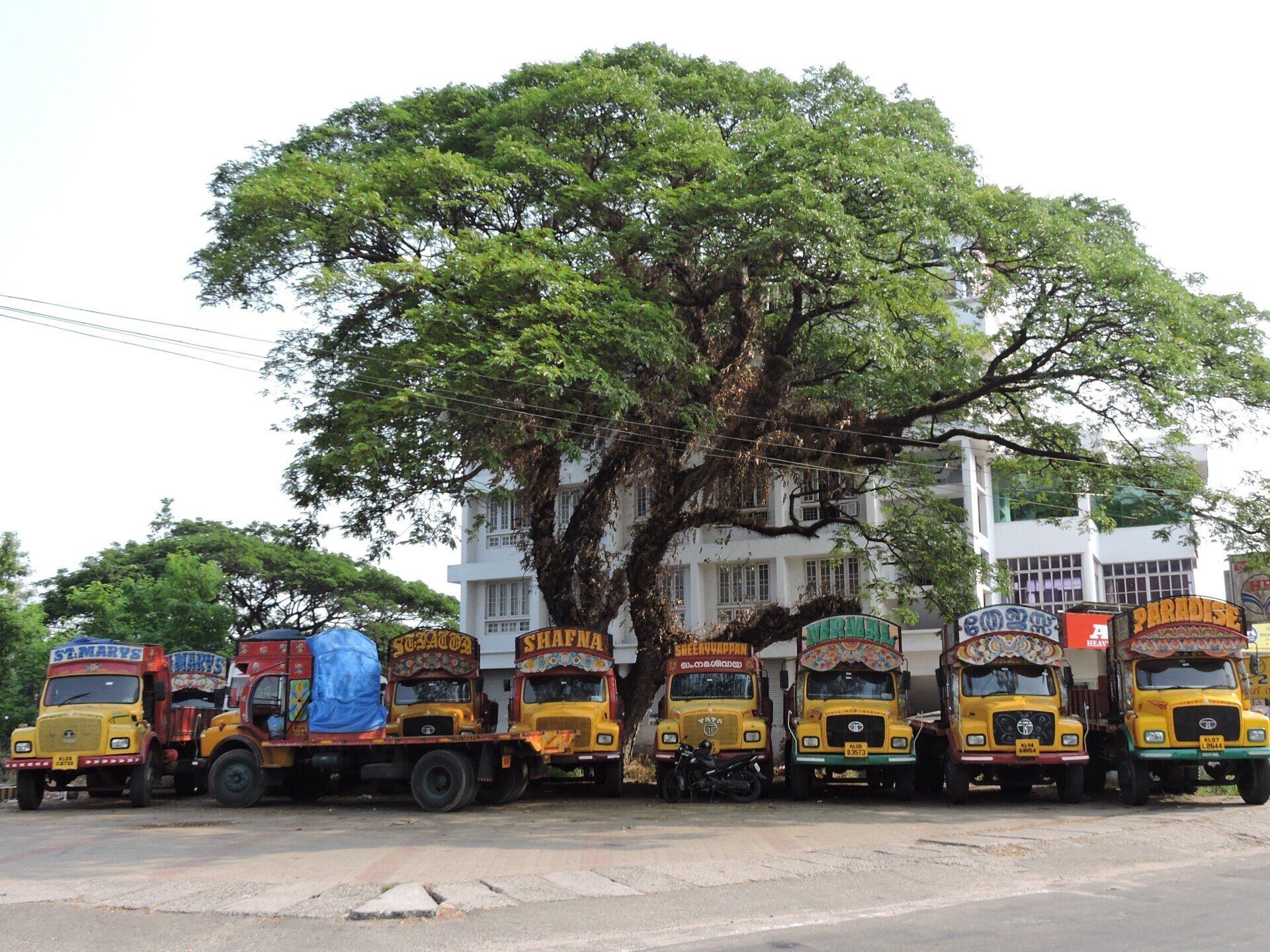 lavishly decorated ramshackle trucks