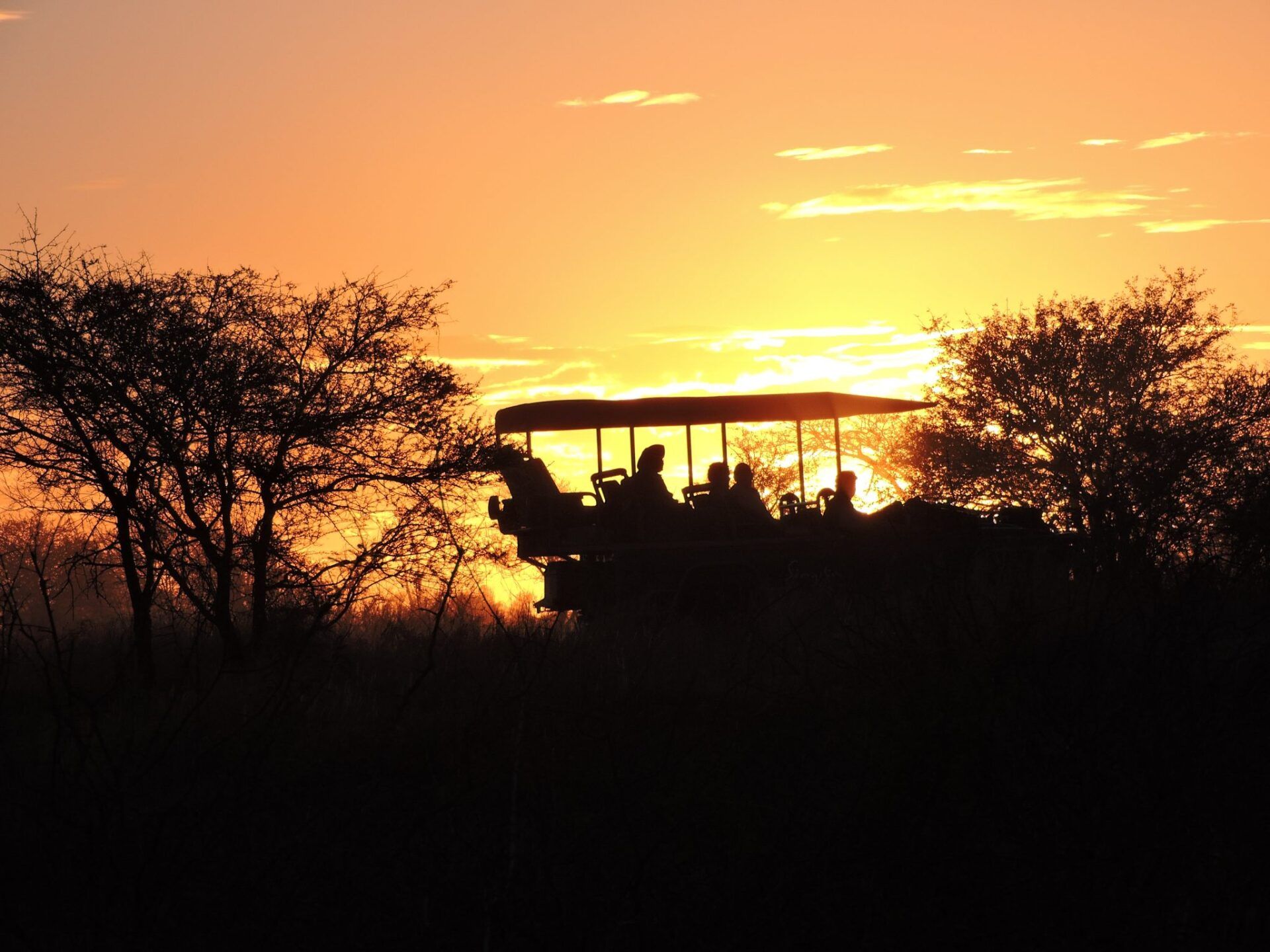 Kenya, game drive