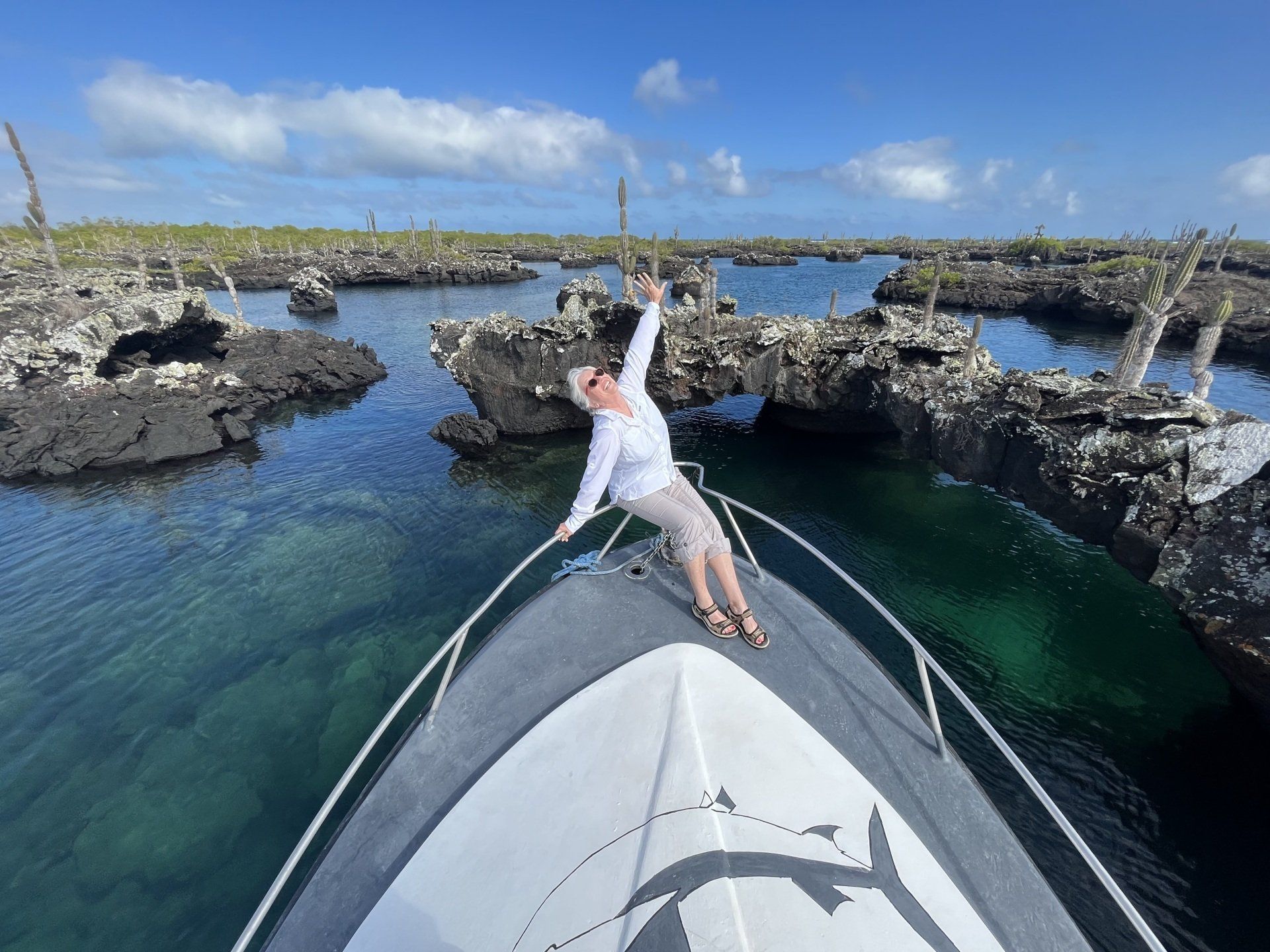 Galapagos, Tower Island, sea lions