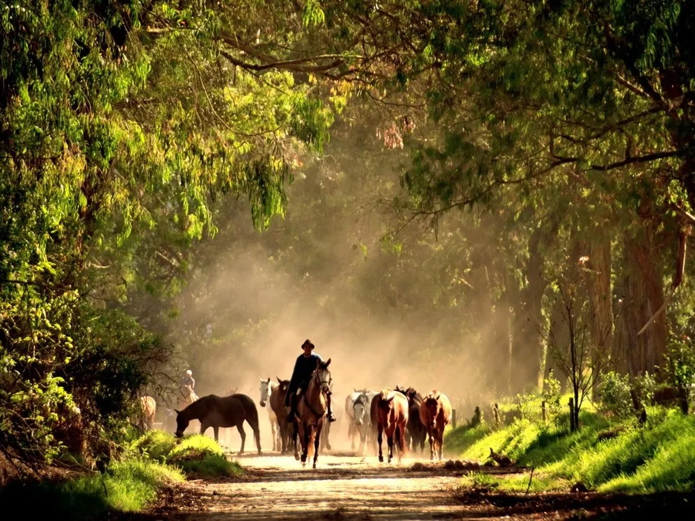 Ecuador hacienda