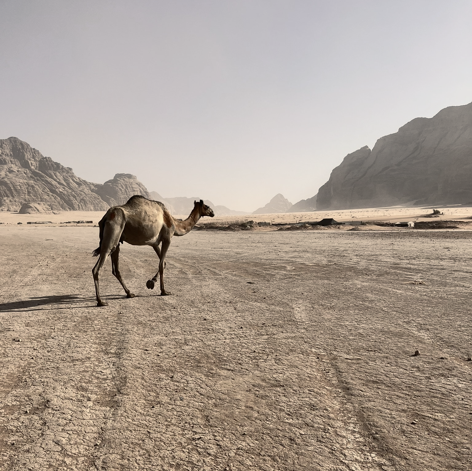Wadi Rum, Jordan