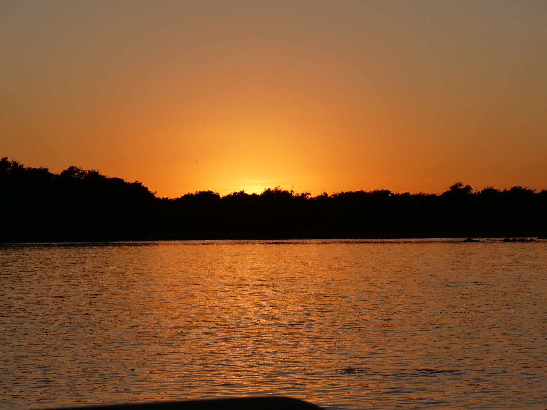 Zambezi Sunset