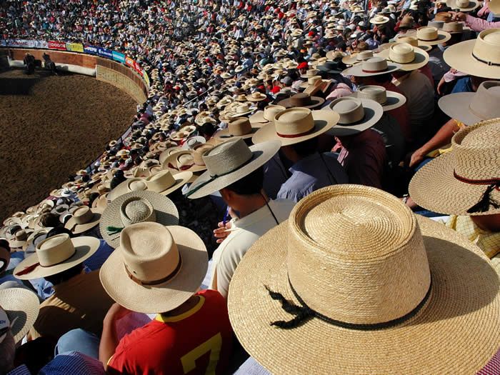 Chile, rodeo