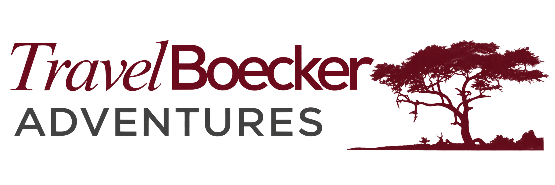 TravelBoecker logo