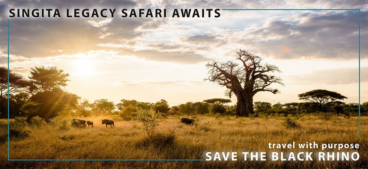 Legacy Safari