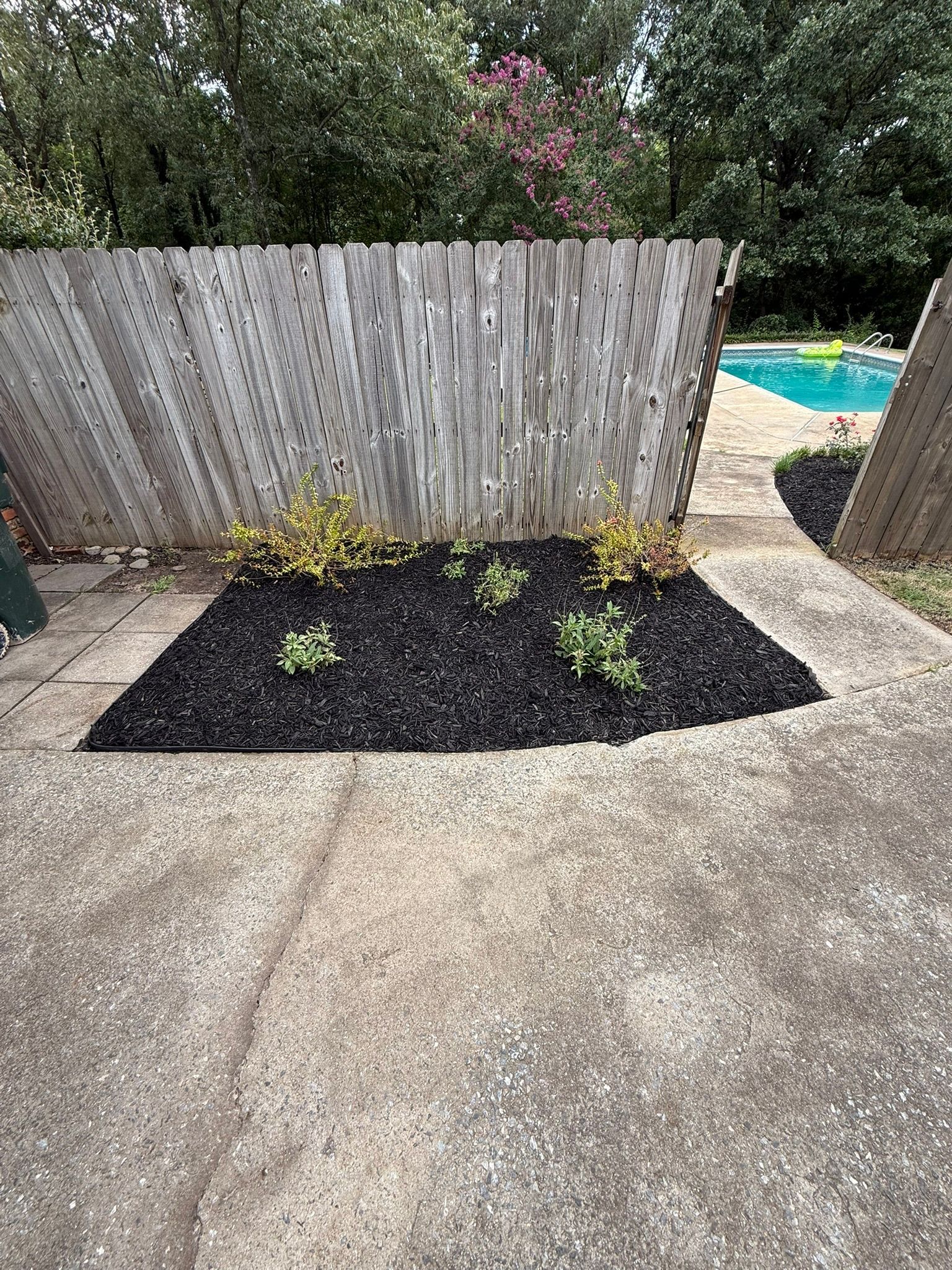Flowerbed with black mulch and plants against a weathered wooden fence, on a concrete patio.