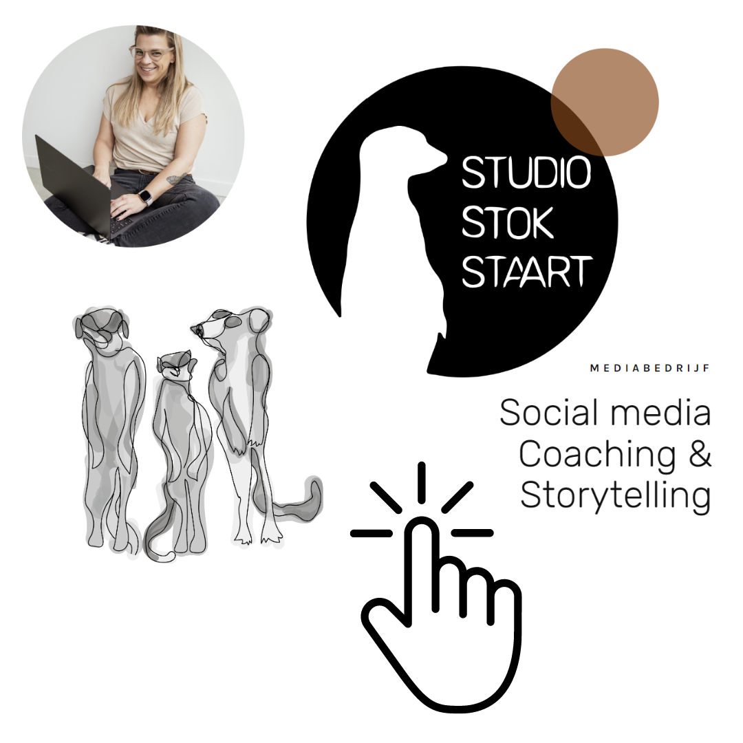 Website Studio Stokstaart