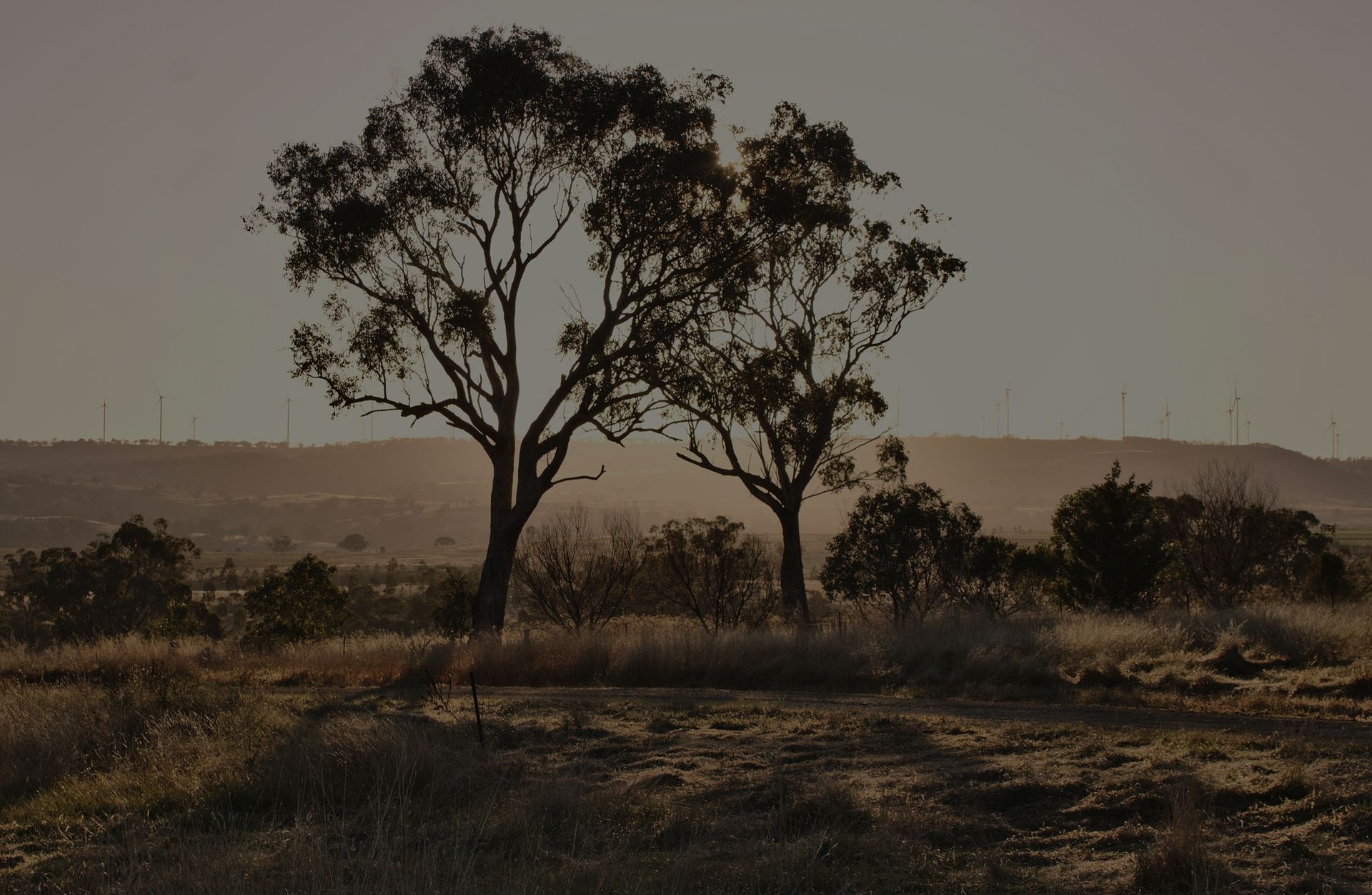 Premium Australian Leather