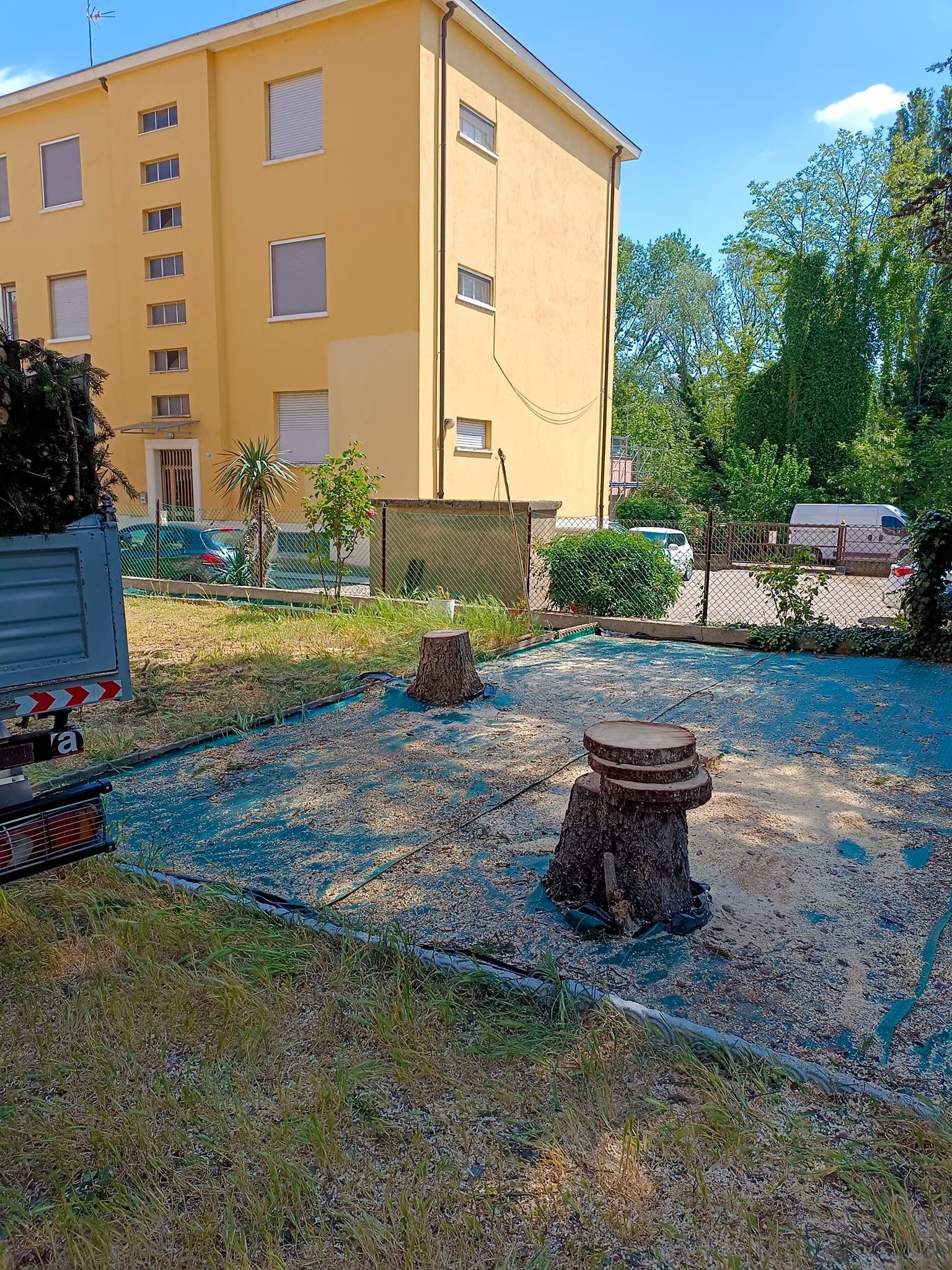 Taglio alberi