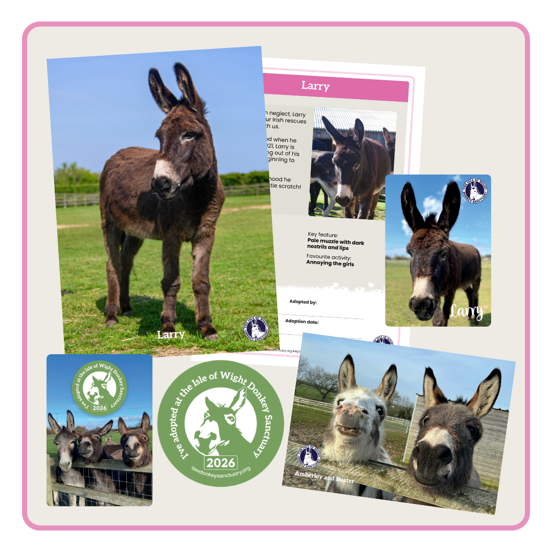 Here is the adoption pack you receive when you adopt a donkey, miniature donkey, pony, Shetland pony, or miniature Shetland pony at the Isle of Wight Donkey Sanctuary. You get a certificate, a printed newsletter and sometimes a gift catalogue.