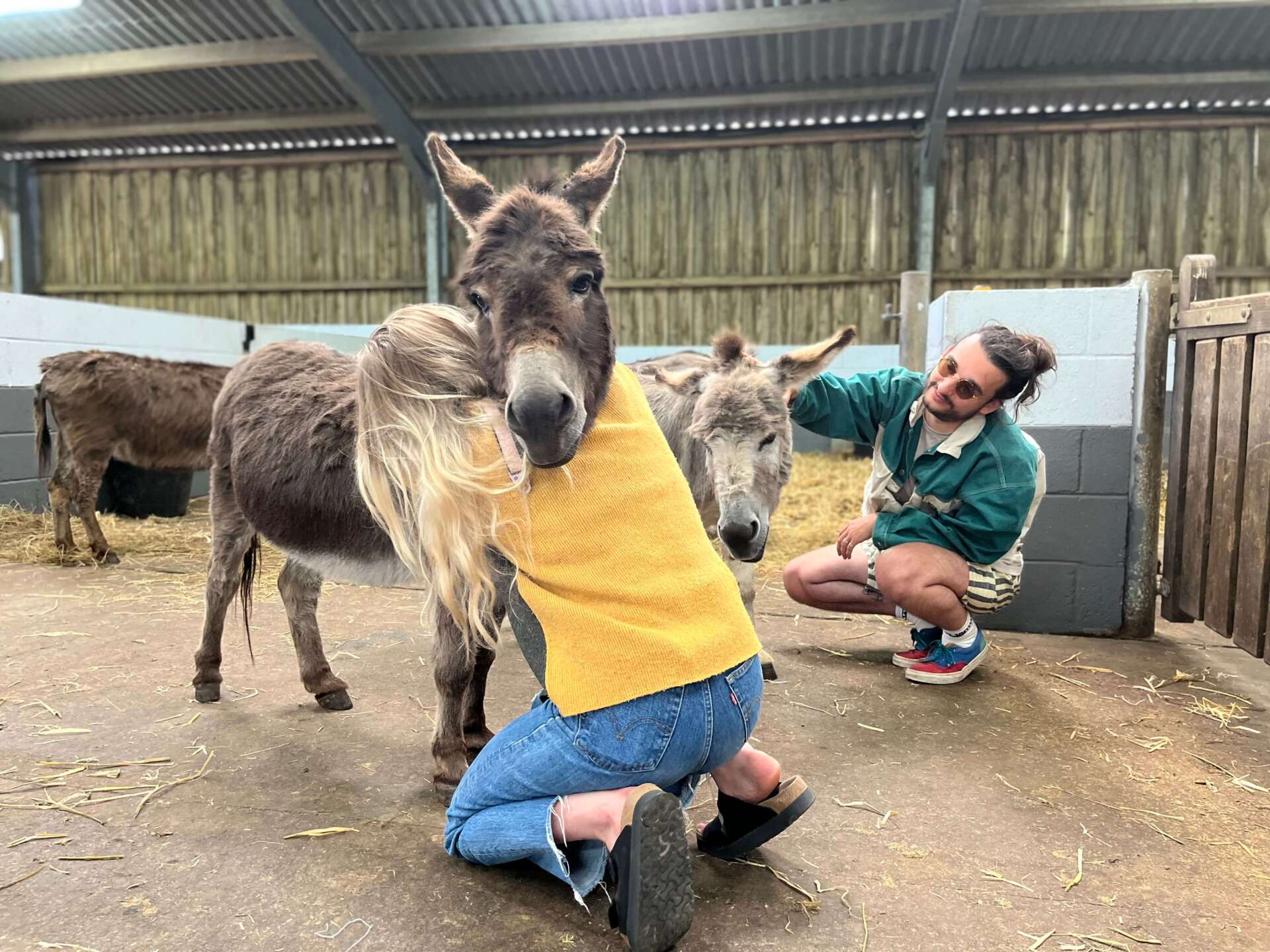 Wet Leg at the Isle of Wight Donkey Sanctuary