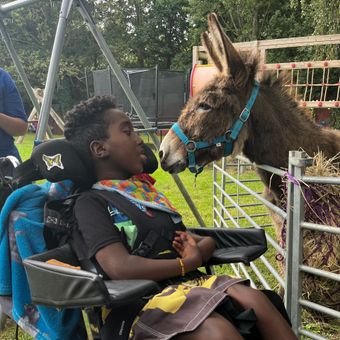 Donkeys are calming and provide a sensory experience for people less fortunate Our donkeys provide sensory experiences for residential homes or people with special needs