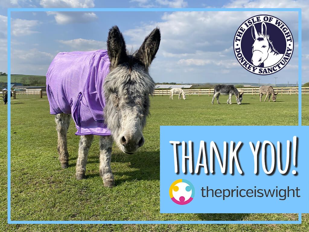 Donkey at the isle of wight donkey sanctuary in a field with sign saying thank you