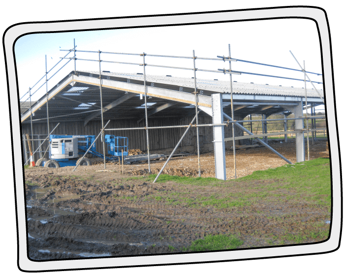 Bruno's Bungalow in the building process in 2017 The building process of Bruno's Bungalow barn at the Isle of Wight Donkey Sanctuary