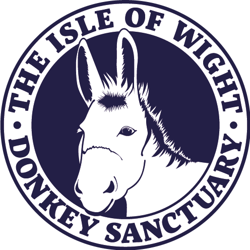 Isle of Wight Donkey Sanctuary Café in Ventnor