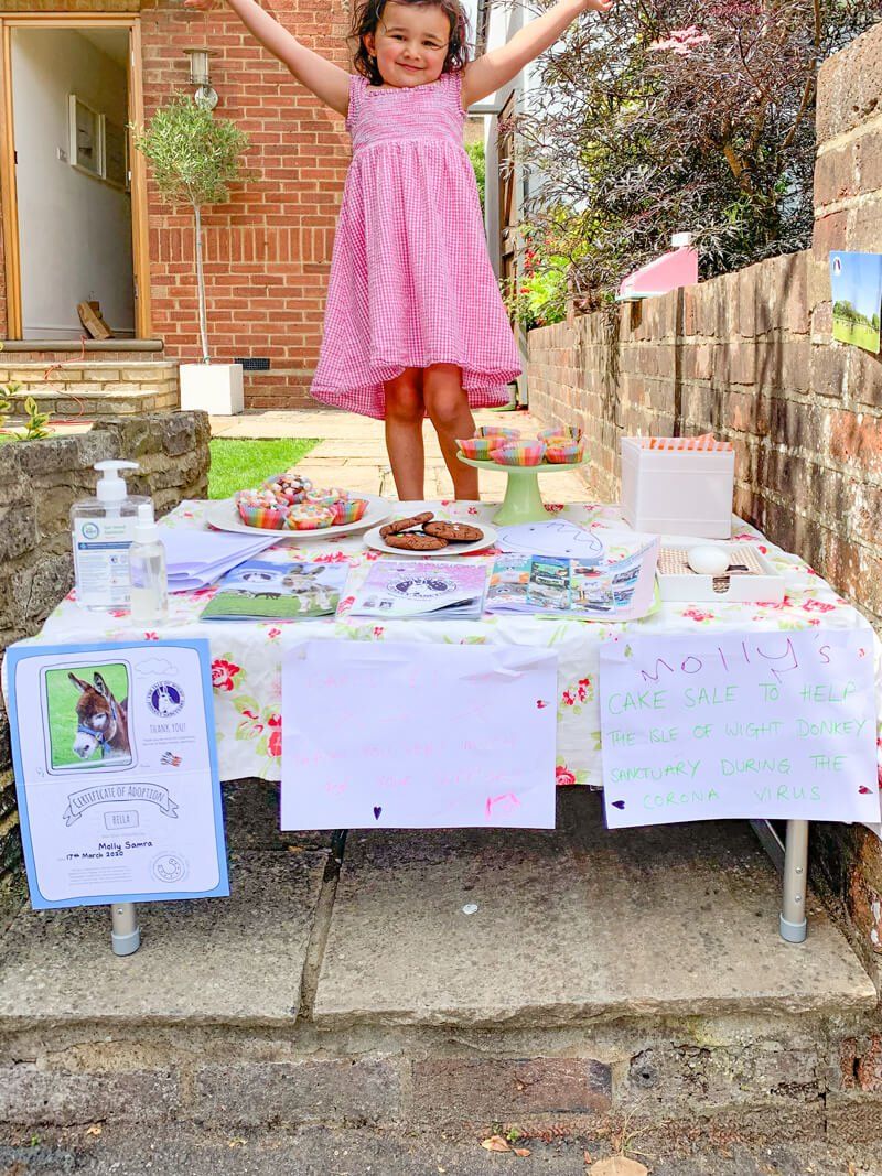 A child raised money for the Isle of Wight Donkey Sanctuary by baking some cakes and biscuits