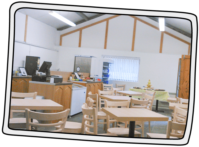 The Isle of Wight Donkey Sanctuary's first shop and cafe The Isle of Wight Donkey Sanctuary's first shop and cafe built in 2017