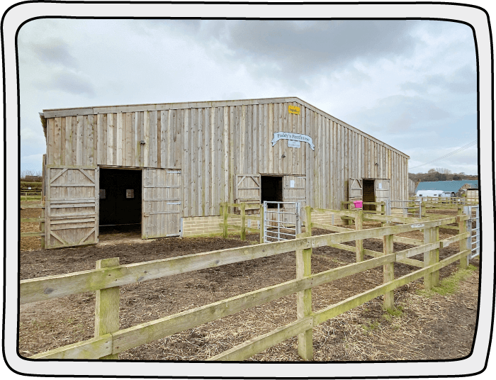 Paddy's Penthouse and Health Suite Paddy's penthouse barn at the Isle of Wight Donkey Sanctuary which is used for donkey isolation or for when a donkey is poorly